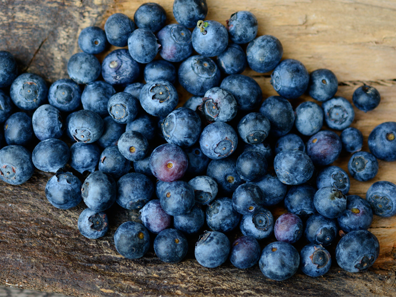 blueberries-diosminSupplier-benepure-com