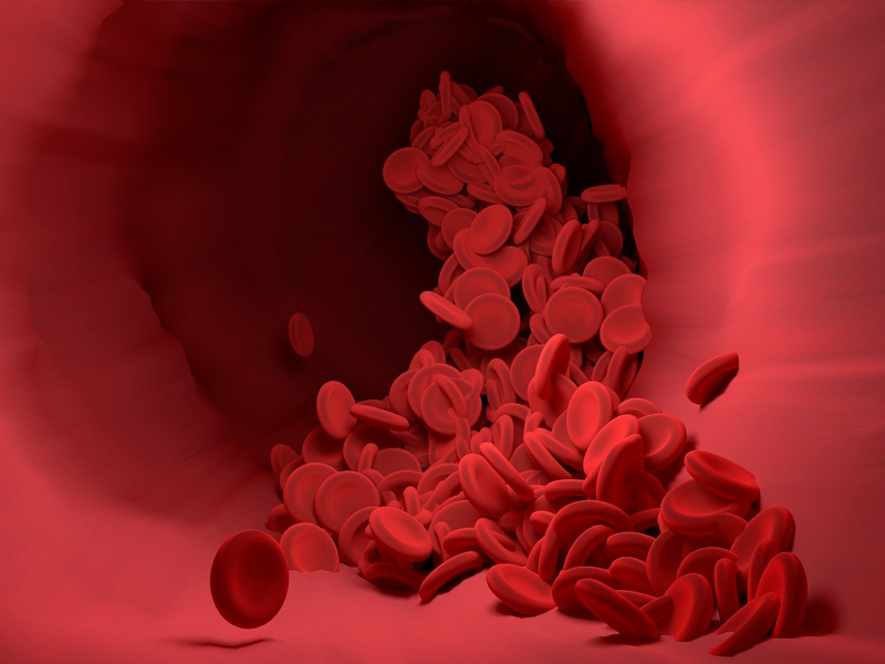 red-blood-cell-diosminSupplier1-benepure-com