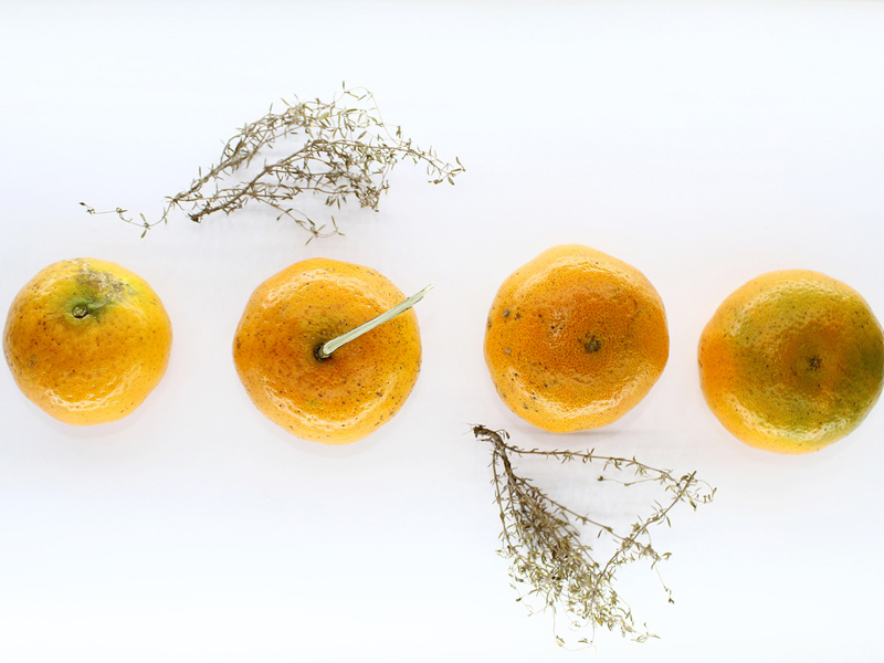 oranges-DiosminSupplier-benepure-com