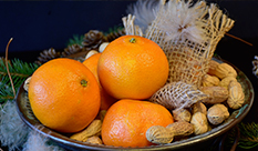【Quercetin】Main Citrus Flavonoids with Antidiabetic Effects