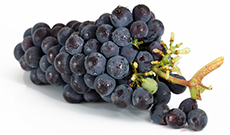 The Benefits of Resveratrol Extracts for Health