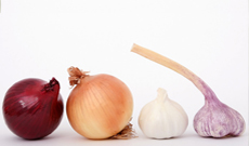 Garlic Extract: Deep Analysis and Market Prospect Outlook