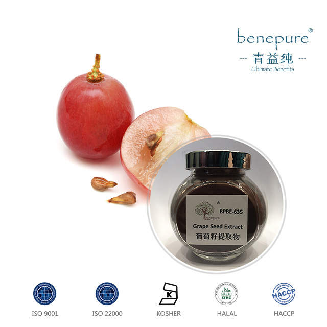 Grape Seed Extract