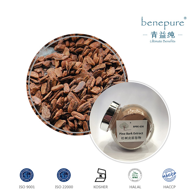 Pine Bark Extract