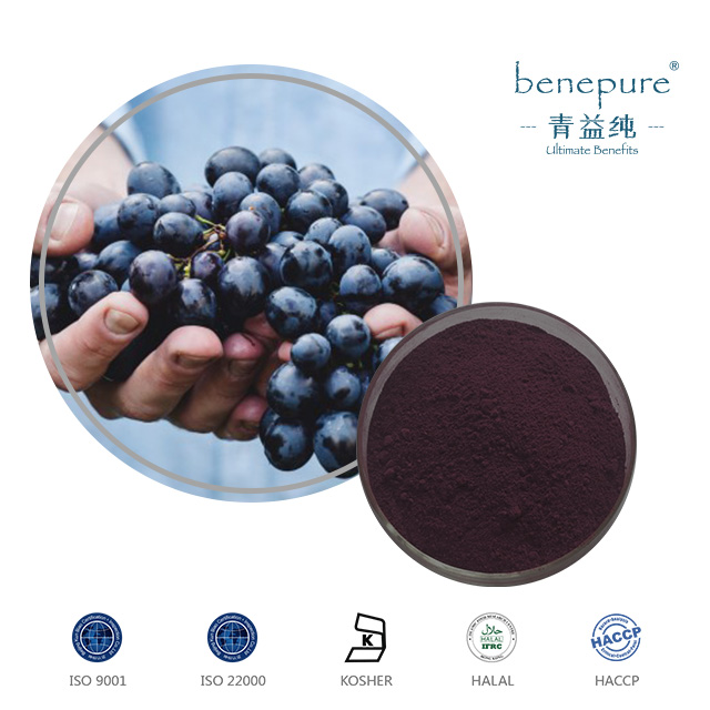 European Bilberry Extract