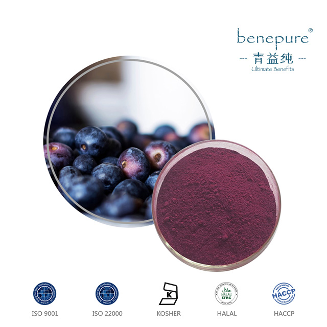 Lingonberry Extract