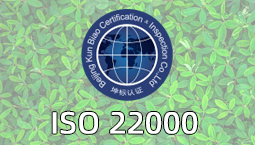 IOS 22000