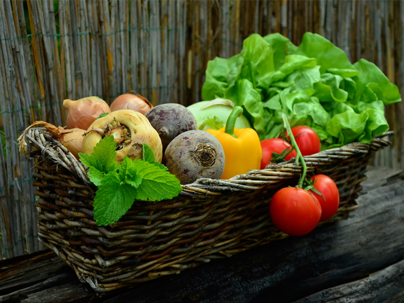 plant-fruit-food-salad-harvest-produce-DiosminSupplier-benepure-com