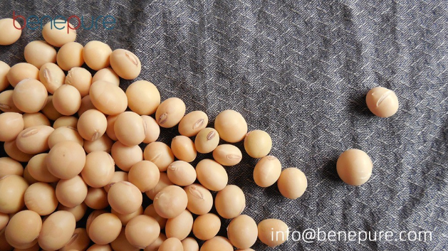 Talk About Soy Isoflavone-The Nutrition Source